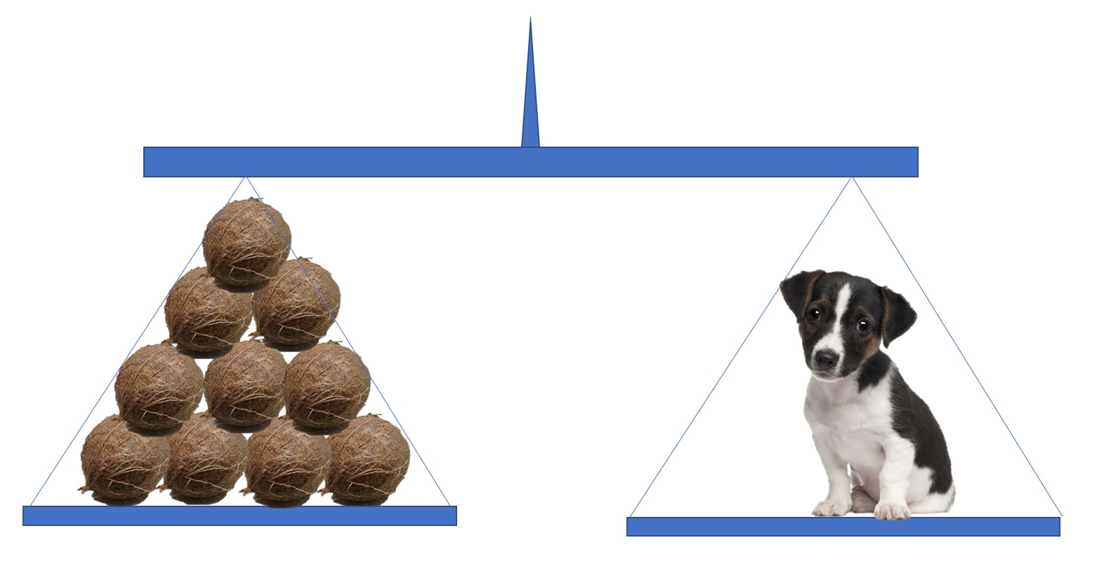 measurements-and-units-noobphysics